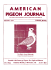 Magazine Cover